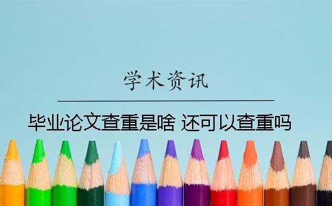 毕业论文查重是啥？ 还可以查重吗