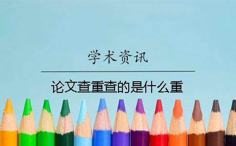 论文查重查的是什么重