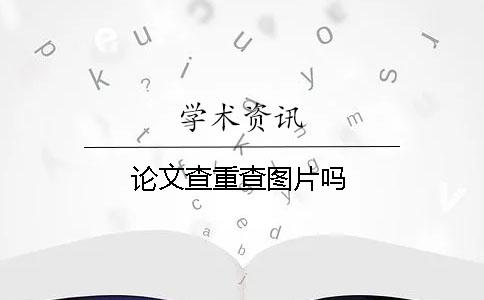 论文查重查图片吗